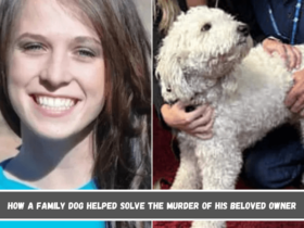 How a Family Dog Helped Solve the Murder of His Beloved Owner