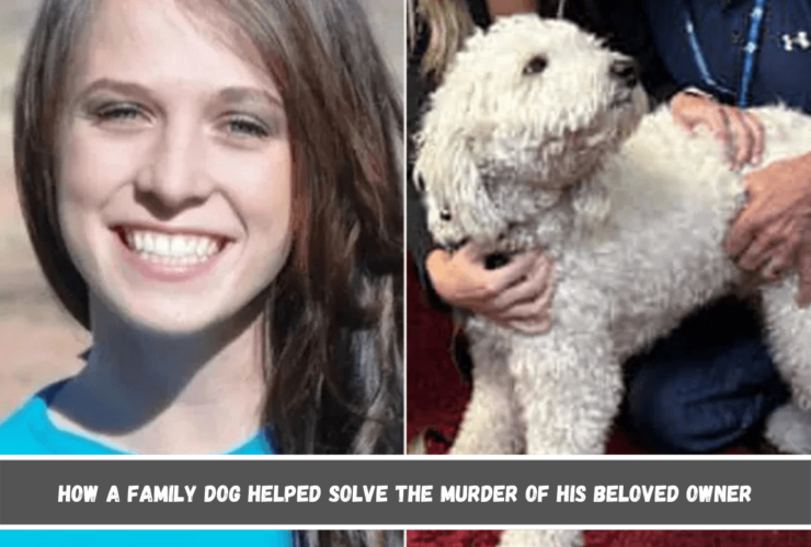 How a Family Dog Helped Solve the Murder of His Beloved Owner