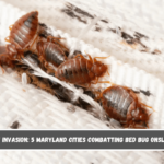 Insect Invasion 5 Maryland Cities Combatting Bed Bug Onslaught