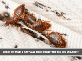 Insect Invasion 5 Maryland Cities Combatting Bed Bug Onslaught