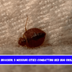 Insect Invasion 5 Missouri Cities Combatting Bed Bug Onslaught