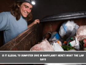 Is It Illegal to Dumpster Dive in Maryland Here’s What the Law Says