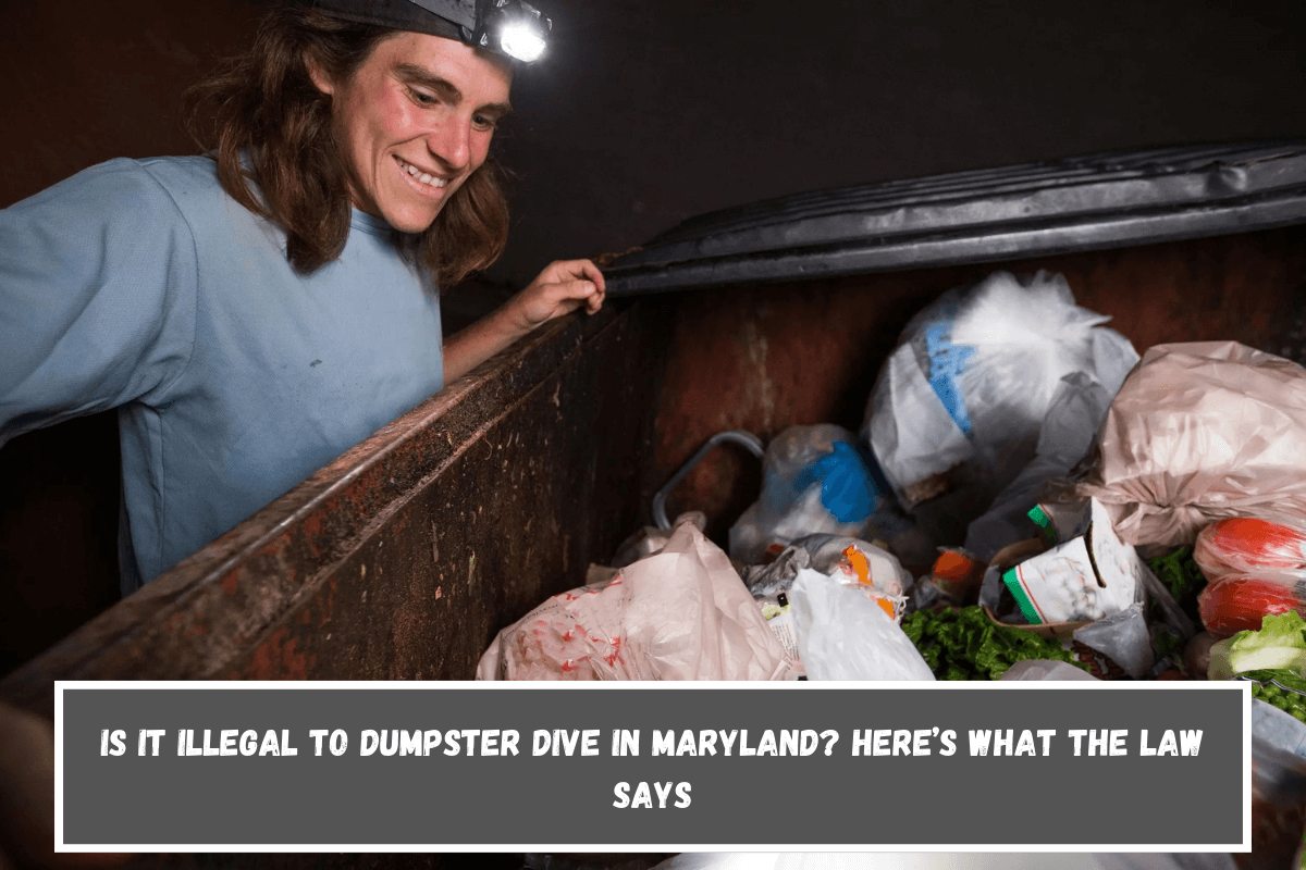 Is It Illegal to Dumpster Dive in Maryland Here’s What the Law Says