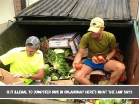 Is It Illegal to Dumpster Dive in Oklahoma Here’s What the Law Says