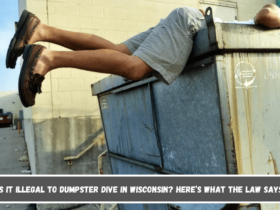 Is It Illegal to Dumpster Dive in Wisconsin Here’s What the Law Says