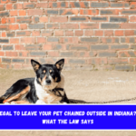 Is It Illegal to Leave Your Pet Chained Outside in Indiana Here's What the Law Says