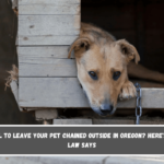 Is It Illegal to Leave Your Pet Chained Outside in Oregon Here's What the Law Says