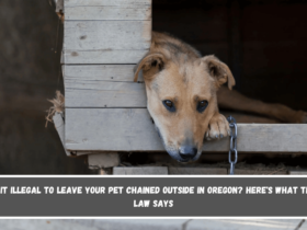 Is It Illegal to Leave Your Pet Chained Outside in Oregon Here's What the Law Says