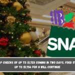 Last SNAP checks of up to $1,723 coming in Two Days, Food Stamps of up to $1,756 for 8 will continue