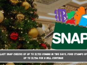 Last SNAP checks of up to $1,723 coming in Two Days, Food Stamps of up to $1,756 for 8 will continue