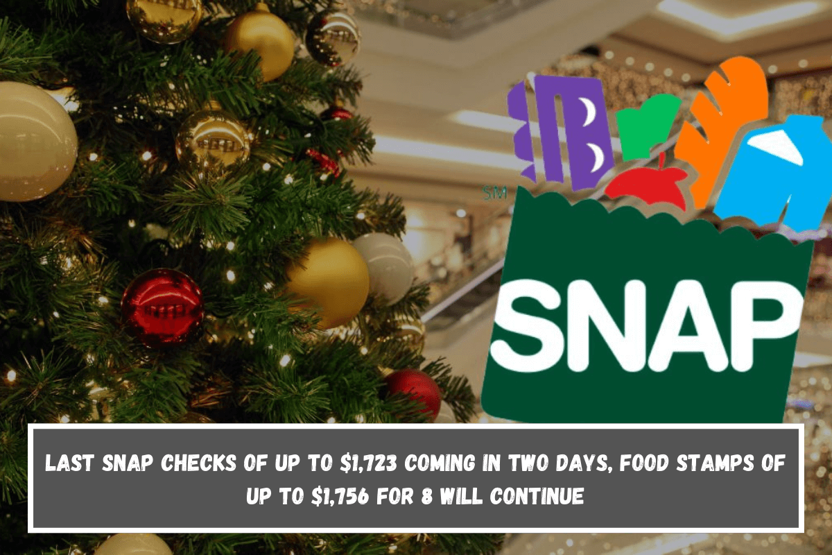 Last SNAP checks of up to $1,723 coming in Two Days, Food Stamps of up to $1,756 for 8 will continue