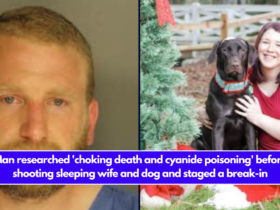 Man researched 'choking death and cyanide poisoning' before shooting sleeping wife and dog and staged a break-in