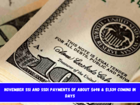 November SSI and SSDI payments of about $698 & $1,539 coming in Days