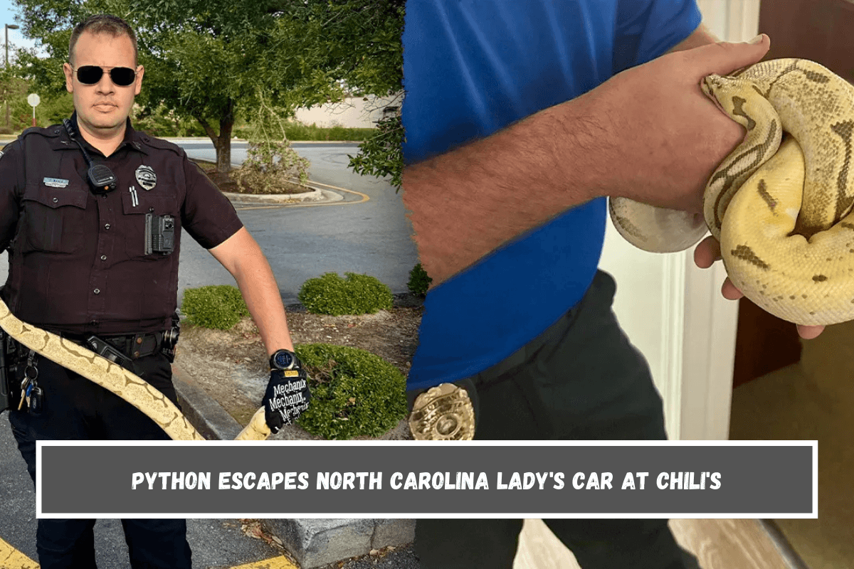 Python escapes North Carolina lady's car at Chili's