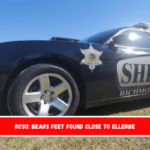 RCSO Bears feet found close to Ellerbe