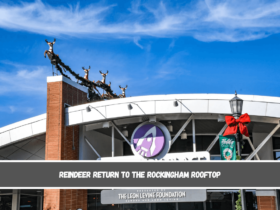 Reindeer return to the Rockingham rooftop