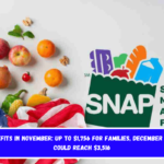 SNAP Benefits in November Up to $1,756 for Families, December Payments Could Reach $3,516