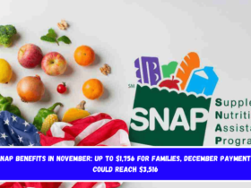 SNAP Benefits in November Up to $1,756 for Families, December Payments Could Reach $3,516