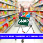 SNAP Disaster Relief to Affected South Carolina Counties