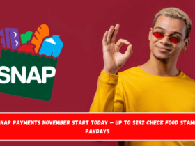 SNAP Payments November Start Today – Up to $292 check food stamp paydays