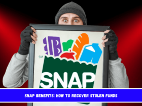 SNAP benefits how to recover stolen funds