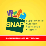 SNAP benefits update What is D-SNAP