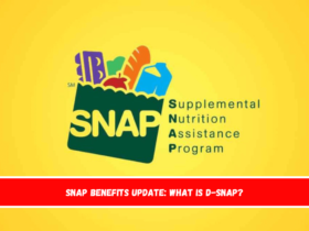 SNAP benefits update What is D-SNAP