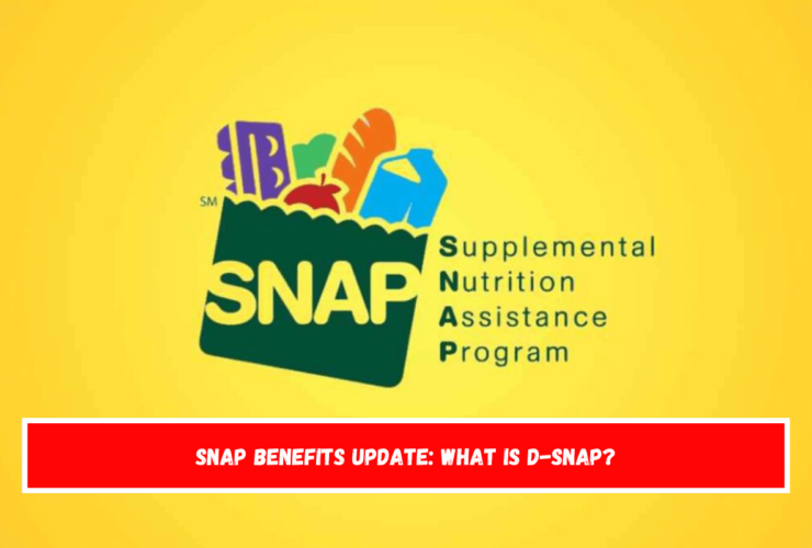 SNAP benefits update What is D-SNAP