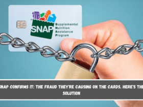 SNAP confirms it the fraud they're causing on the cards. Here's the solution