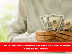 Stimulus Check Update November 2024 Which states will be sending payments next month