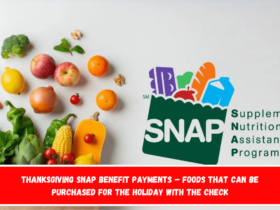 Thanksgiving SNAP benefit payments – foods that can be purchased for the holiday with the check