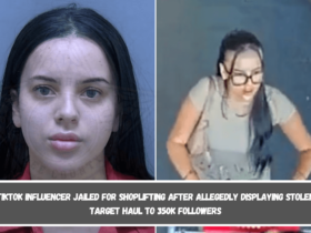 TikTok influencer jailed for shoplifting after allegedly displaying stolen Target haul to 350k followers