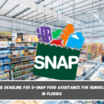 Today is the deadline for D-SNAP food assistance for hurricane victims in Florida