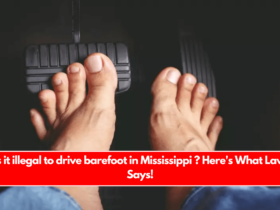 is it illegal to drive barefoot in Mississippi ? Here's What Law Says!