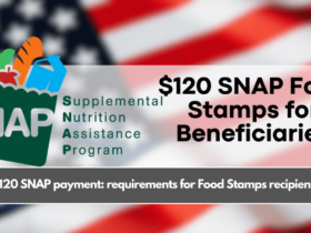 $120 SNAP payment: requirements for Food Stamps recipients