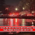 A 12-year-old boy died and an 11-year-old girl was critically injured after falling through the ice in a New York City park