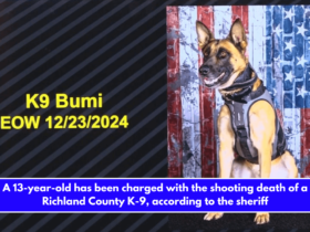 A 13-year-old has been charged with the shooting death of a Richland County K-9, according to the sheriff