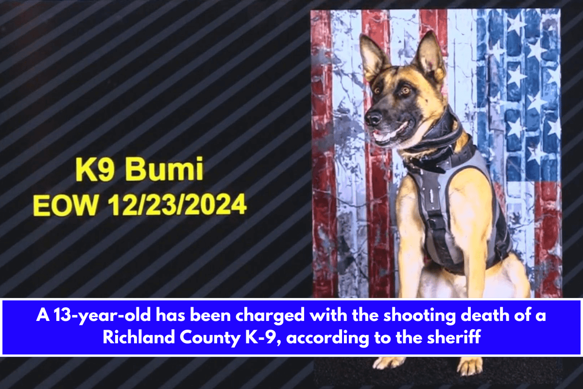 A 13-year-old has been charged with the shooting death of a Richland County K-9, according to the sheriff