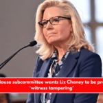 A GOP House subcommittee wants Liz Cheney to be probed for 'witness tampering'