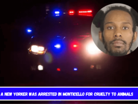 A New Yorker Was Arrested in Monticello for Cruelty to Animals