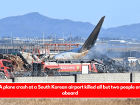 A plane crash at a South Korean airport killed all but two people on aboard