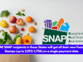 All SNAP recipients in these States will get all their new Food Stamps (up to $292-1,756) on a single payment date