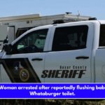 BCSO Woman arrested after reportedly flushing baby down Whataburger toilet.