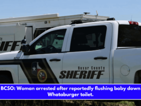 BCSO Woman arrested after reportedly flushing baby down Whataburger toilet.