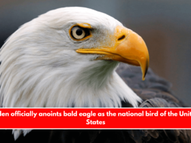 Biden officially anoints bald eagle as the national bird of the United States