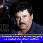 El Chabelo, the notorious head of a Mexican drug gang, was killed in a shootout after a bloody cockfight.