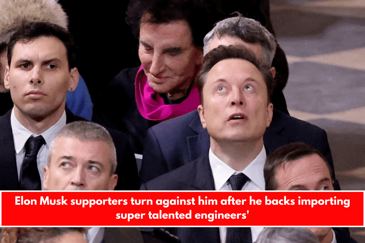 Elon Musk supporters turn against him after he backs importing super talented engineers'