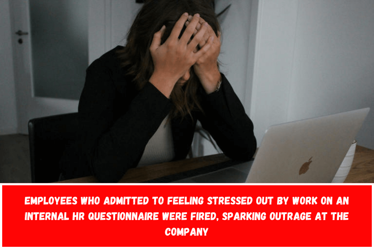 Employees who admitted to feeling stressed out by work on an internal HR questionnaire were fired, sparking outrage at the company