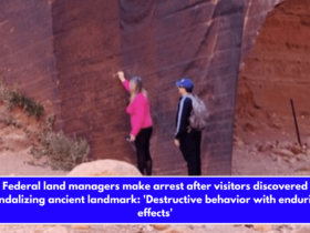 Federal land managers make arrest after visitors discovered vandalizing ancient landmark 'Destructive behavior with enduring effects'