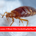 Insect Invasion: 5 Illinois Cities Combatting Bed Bug Onslaught